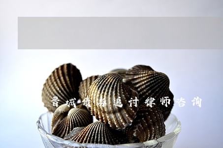 晋城债务追讨律师咨询 晋城债务追讨律师咨询