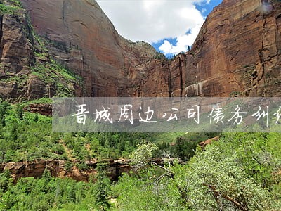 晋城周边公司债务纠纷律师咨询 晋城周边公司债务纠纷律师咨询