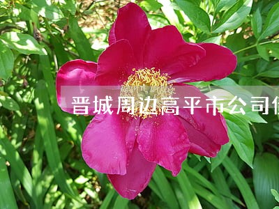 晋城周边高平市公司债务纠纷律师 晋城周边高平市公司债务纠纷律师