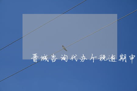 晋城咨询代办个税逾期申报机构 晋城咨询代办个税逾期申报机构