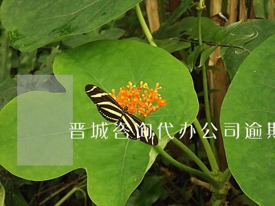 晋城咨询代办公司逾期申报 晋城咨询代办公司逾期申报