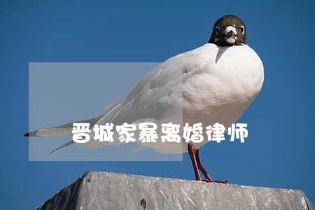 晋城家暴离婚律师 晋城家暴离婚律师