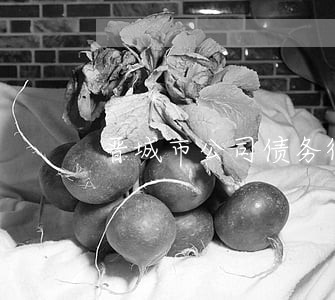 晋城市公司债务律师费怎么算 晋城市公司债务律师费怎么算