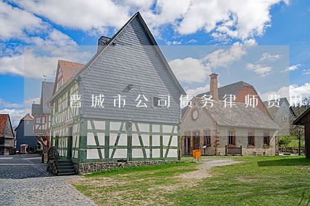 晋城市公司债务律师费用标准 晋城市公司债务律师费用标准
