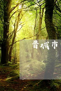 晋城市公司债务纠纷律师在线咨询 晋城市公司债务纠纷律师在线咨询