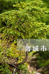 晋城市公司债务纠纷律师费用 晋城市公司债务纠纷律师费用