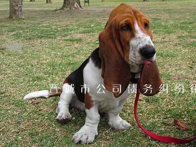 晋城市公司债务纠纷律师费用多少 晋城市公司债务纠纷律师费用多少