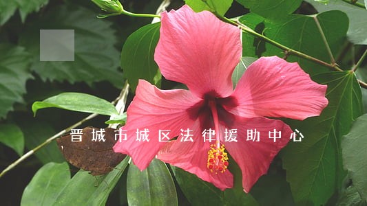 晋城市城区法律援助中心 晋城市城区法律援助中心
