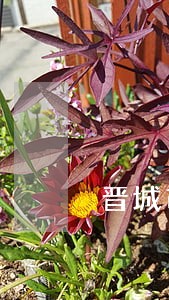 晋城市法律咨询 晋城市法律咨询