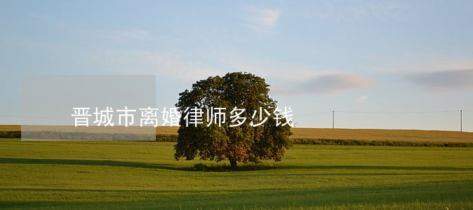 晋城市离婚律师多少钱 晋城市离婚律师多少钱