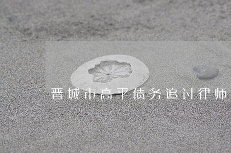 晋城市高平债务追讨律师 晋城市高平债务追讨律师