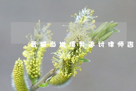 晋城当地债务追讨律师咨询 晋城当地债务追讨律师咨询