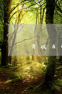 晋城当地离婚房产分割律师诉讼费 晋城当地离婚房产分割律师诉讼费