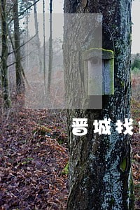 晋城找债务律师哪家好 晋城找债务律师哪家好