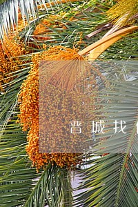 晋城找债务律师谁家好 晋城找债务律师谁家好