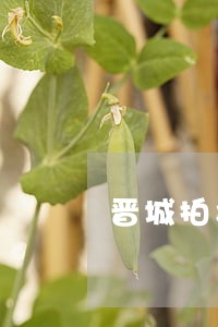 晋城拍卖车在哪里 晋城拍卖车在哪里