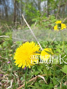 晋城擅长债务清偿律师咨询费多少 晋城擅长债务清偿律师咨询费多少