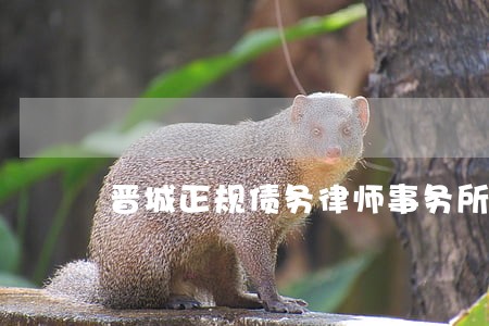 晋城正规债务律师事务所 晋城正规债务律师事务所