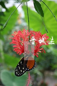 晋城法律咨询排行 晋城法律咨询排行