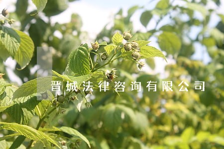 晋城法律咨询有限公司 晋城法律咨询有限公司