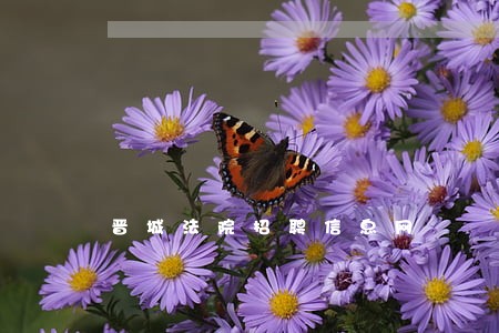 晋城法院招聘信息网 晋城法院招聘信息网
