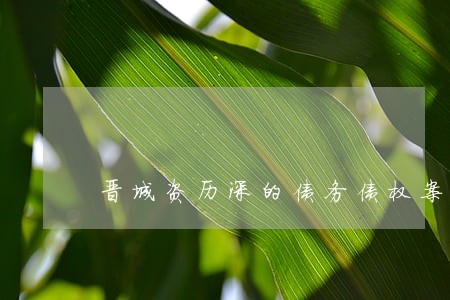 晋城资历深的债务债权案律师 晋城资历深的债务债权案律师
