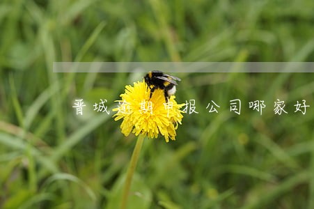 晋城逾期申报公司哪家好 晋城逾期申报公司哪家好