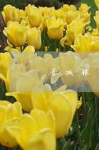 晋城银行房贷逾期 晋城银行房贷逾期