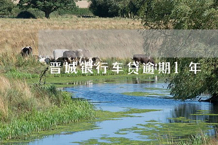 晋城银行车贷逾期1年 晋城银行车贷逾期1年