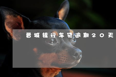晋城银行车贷逾期20天 晋城银行车贷逾期20天