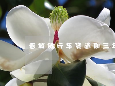 晋城银行车贷逾期三年 晋城银行车贷逾期三年