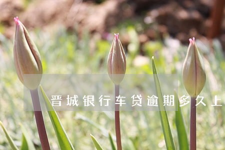 晋城银行车贷逾期多久上征信 晋城银行车贷逾期多久上征信