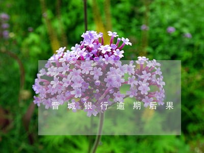 晋城银行逾期后果 晋城银行逾期后果