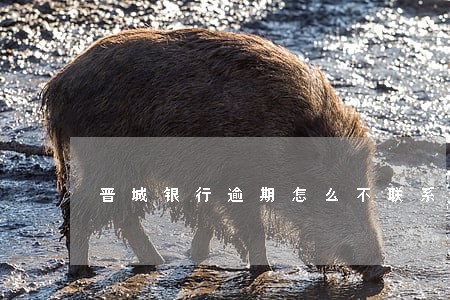 晋城银行逾期怎么不联系我了 晋城银行逾期怎么不联系我了