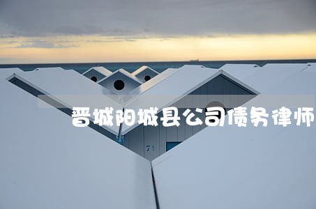 晋城阳城县公司债务律师费怎么算 晋城阳城县公司债务律师费怎么算