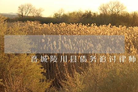 晋城陵川县债务追讨律师团队 晋城陵川县债务追讨律师团队