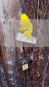 晋城陵川县办理债权债务律师 晋城陵川县办理债权债务律师