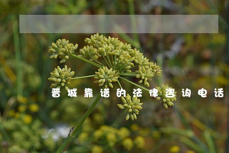 晋城靠谱的法律咨询电话 晋城靠谱的法律咨询电话