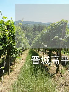 晋城高平市债务追讨律师哪个好 晋城高平市债务追讨律师哪个好