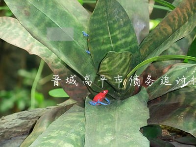 晋城高平市债务追讨律师费用 晋城高平市债务追讨律师费用