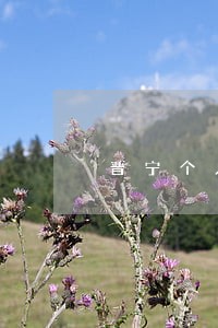 晋宁个人债务纠纷律师 晋宁个人债务纠纷律师