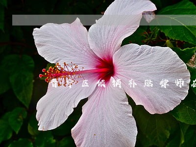 晋宁区倾销补贴律师在线免费咨询 晋宁区倾销补贴律师在线免费咨询