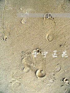 晋宁区昆阳律师 晋宁区昆阳律师