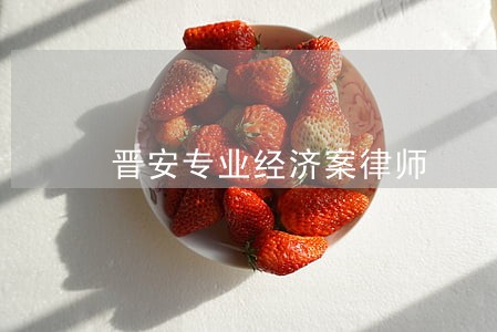 晋安专业经济案律师 晋安专业经济案律师