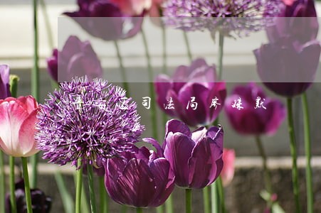 晋安区司法局廖姝默 晋安区司法局廖姝默