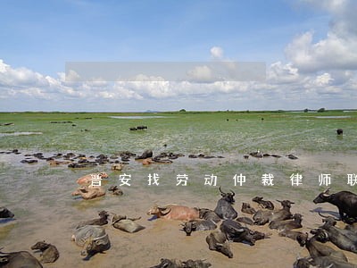 晋安找劳动仲裁律师联系方式 晋安找劳动仲裁律师联系方式