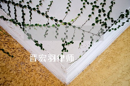 晋宏羽律师 晋宏羽律师