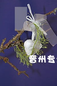 晋州专业的公司债务和解律师 晋州专业的公司债务和解律师