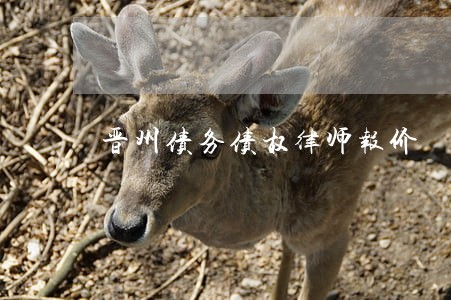 晋州债务债权律师报价 晋州债务债权律师报价