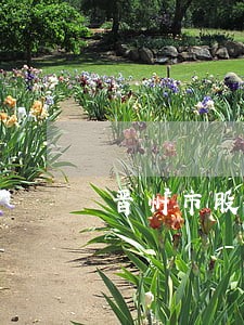 晋州市股东知情权纠纷律师团队 晋州市股东知情权纠纷律师团队
